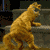 :CatDance: