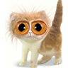 :cateyes: