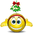 :mistletoe: