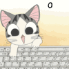typing cat